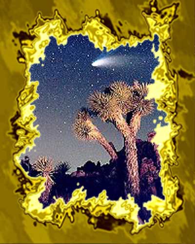 Picture of JT National Park - Haley's Comet